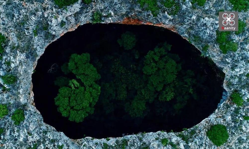 Η «Μαύρη Τρύπα» της Μάνης - Το κρυφό δάσος στο εσωτερικό της (βίντεο)